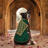 Rajwada Yuvraj Achkan Festive Dog Sherwani -Green
