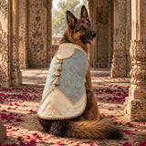 Rajwada Kunwar Sa Sherwani with Koti Festive Dog Sherwani -Sea Green /Gold