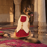 Rajwada Maharaja Sherwani with Koti Festive Dog Sherwani - Red/White
