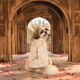 Rajwada Maharaja Sherwani with Koti Festive Dog Sherwani - White/Gold