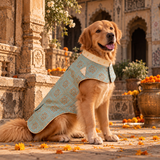 Rajwada Rajeswar Sherwani Festive Dog Sherwani - Sea Green