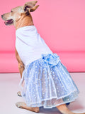 Fairy Dog Dress/Gown - Elsa