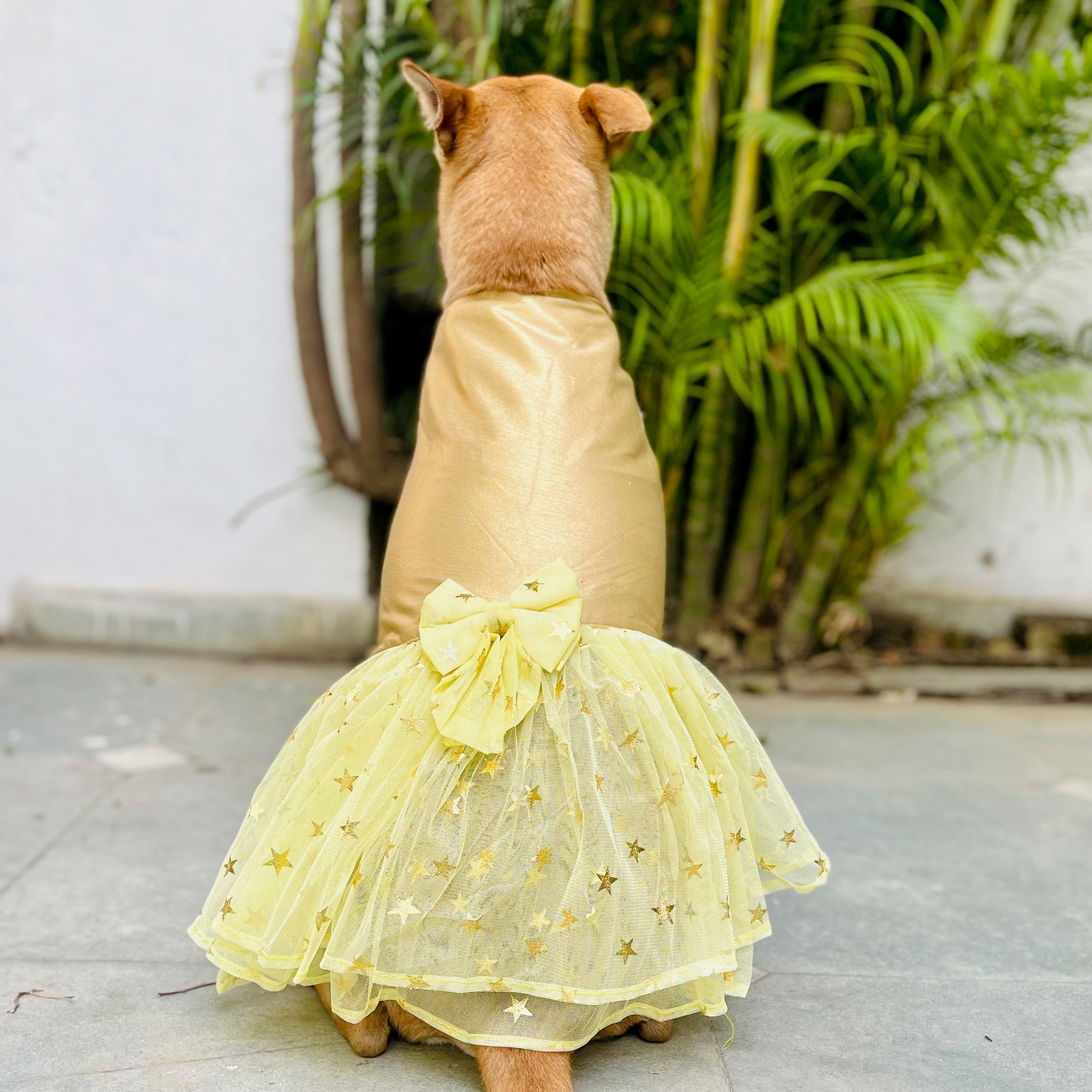 Princess Dog Dress/Gown - Bella That Dog In Tuxedo Princess Dog Dress/Gown - Bella That Dog In Tuxedo