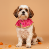 Shubhotsav Festive Brocade Dog Cape Neckwear -Pink