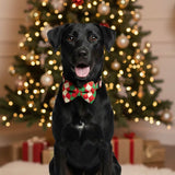 Holiday Hues Christmas Dog Bow tie Collar