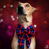 Christmas Plaid Sailor Bow Tie with Collar - Red/Blue That Dog In Tuxedo