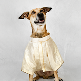 White Gold Foil Print Festive Dog Kurta