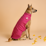 Gulab Brocade Festive Dog Sherwani - Pink thatdogintuxedo