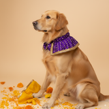 Shubhotsav Festive Brocade Dog Cape Neckwear -Purple