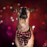 Christmas Holiday Plaid Sailor Bow Tie with Collar That Dog In Tuxedo