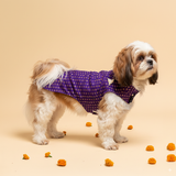Rajratan Brocade Festive Dog Sherwani - Purple thatdogintuxedo