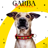 Festive Garba Dog Multicolor Collar - Red thatdogintuxedo