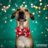 Xmas Pine Tree Christmas Dog Bow tie Collar