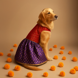 Shubhotsav Brocade Silk Dog Dress - Kalyani (Red/Purple) thatdogintuxedo