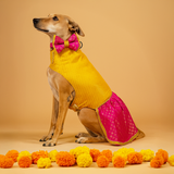 Shubhotsav Brocade Silk Dog Dress - Gauri (Yellow/Pink) (Copy) thatdogintuxedo
