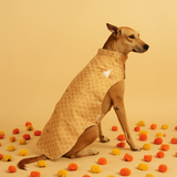 Swarnim Brocade Festive Dog Sherwani - Golden (Copy) thatdogintuxedo