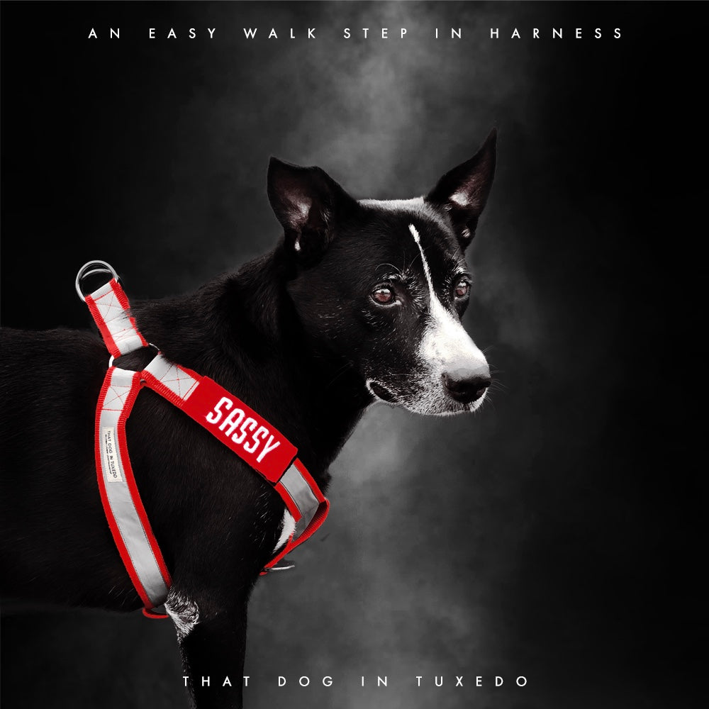 Buy Reflectors An Easy Walk Step In Harness with Name Patch