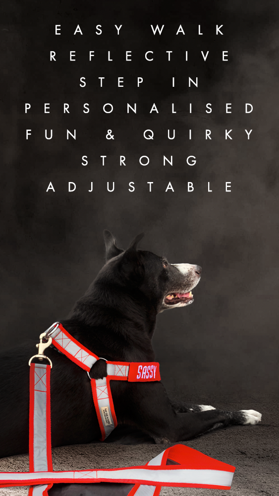 Buy Reflectors An Easy Walk Step In Harness with Name Patch