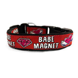 Babe Magnet Dog Collar thatdogintuxedo