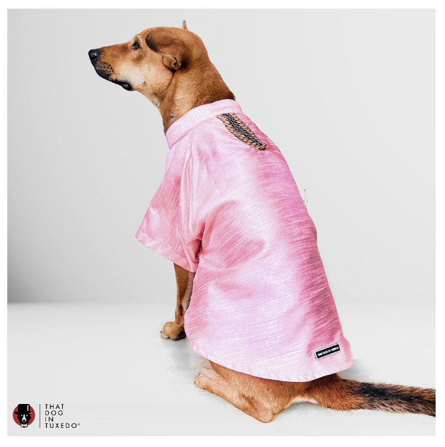 TDIT Dog Tussar Silk Kurta Festive/wedding - Pink That Dog In Tuxedo