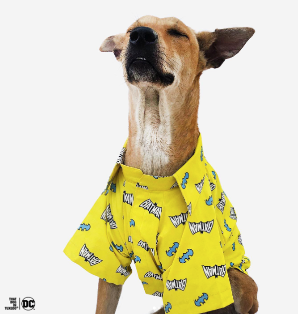 Dog batman shirt sale