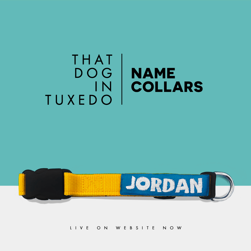 Personalised Name Collar - Yellow thatdogintuxedo