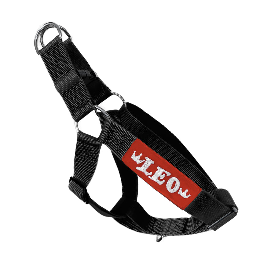 Easy Walk Step-In Name Harness - Black thatdogintuxedo