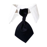 Dog Necktie Shirt Collar - Wedding Black