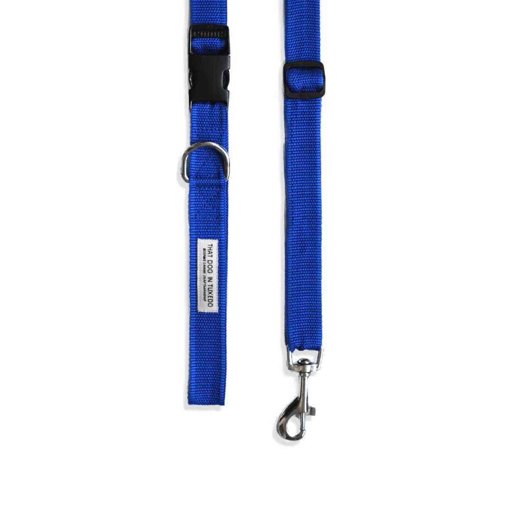 TDIT Adjustable Nylon Dog Leash - Royal Blue thatdogintuxedo