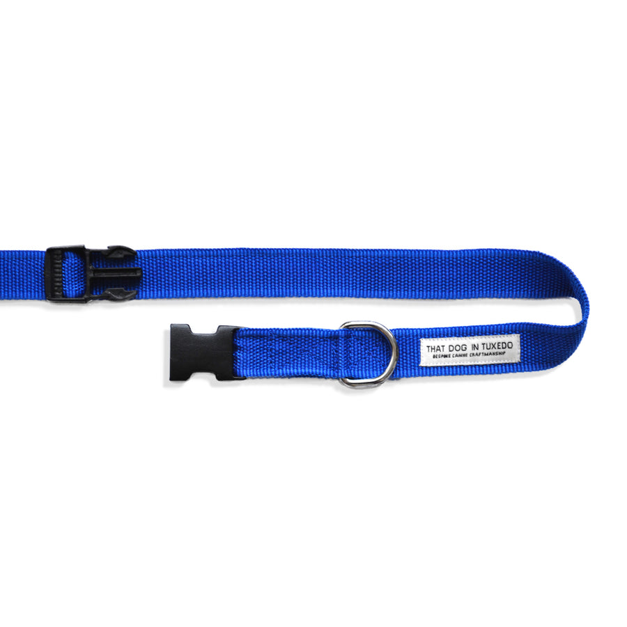 TDIT Adjustable Nylon Dog Leash - Royal Blue thatdogintuxedo