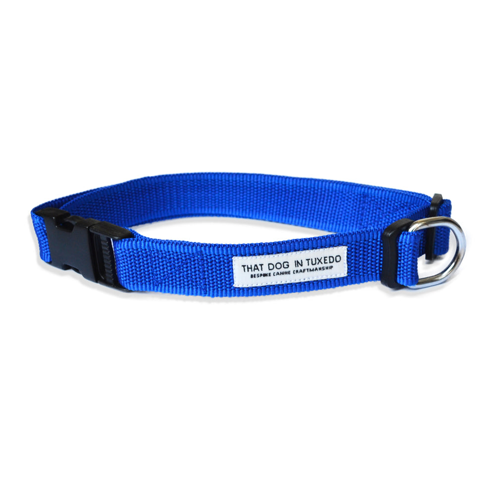 TDIT Basics Dog Nylon Collar - Royal Blue thatdogintuxedo