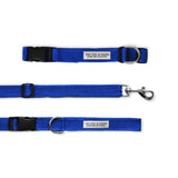 TDIT Basics - Dog Nylon Collar & Adjustable Leash Set - Blue