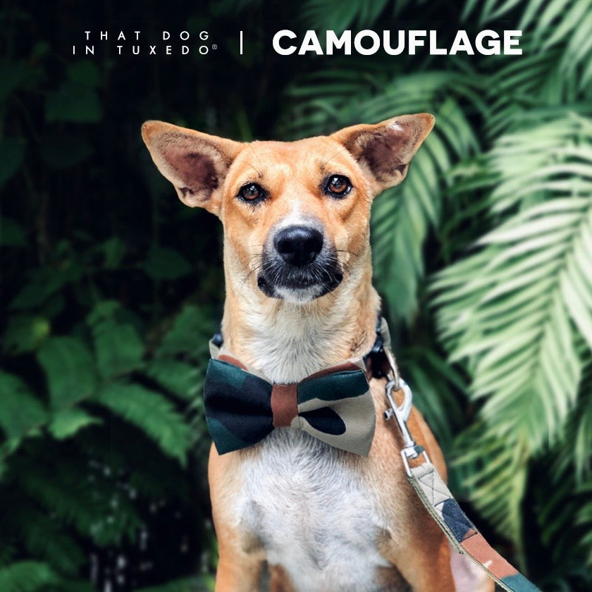 Camouflage Dog Bow Tie Collar thatdogintuxedo