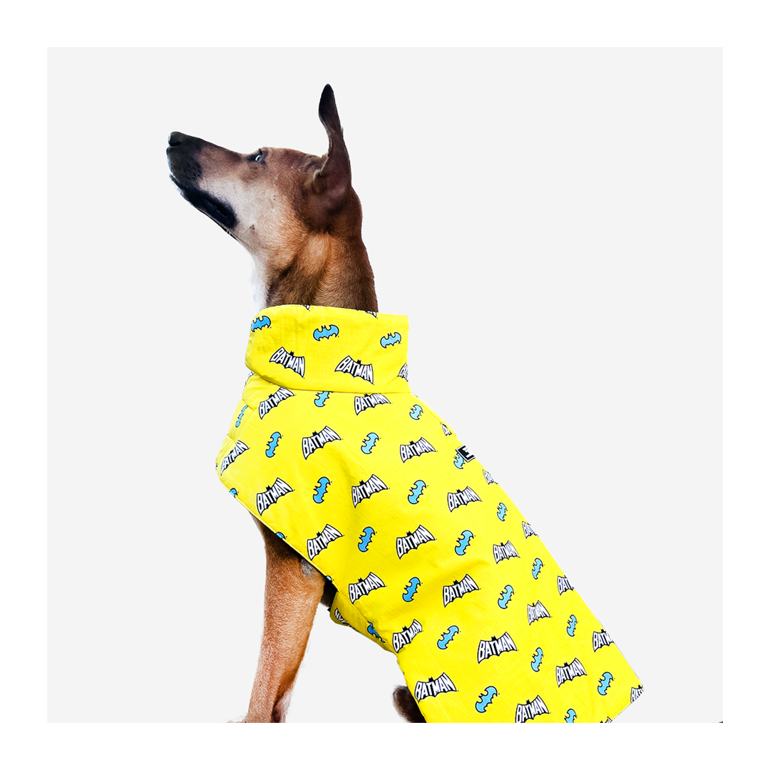 Buy TDIT X DC Batman Winter Jacket by That Dog In Tuxedo