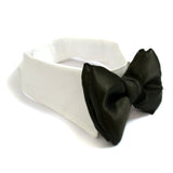 White Tux Bow Tie Collar