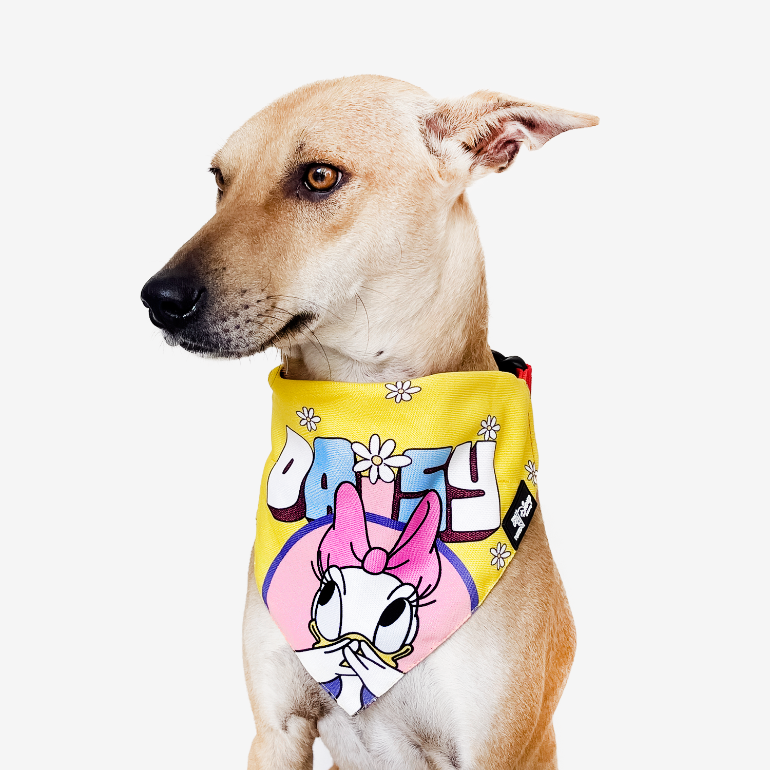 Disney sales dog bandana