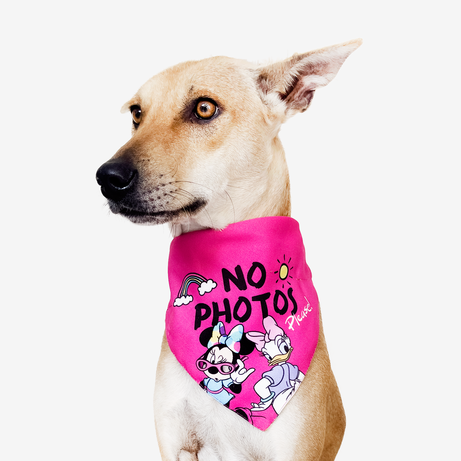 Disney dog shop bandana