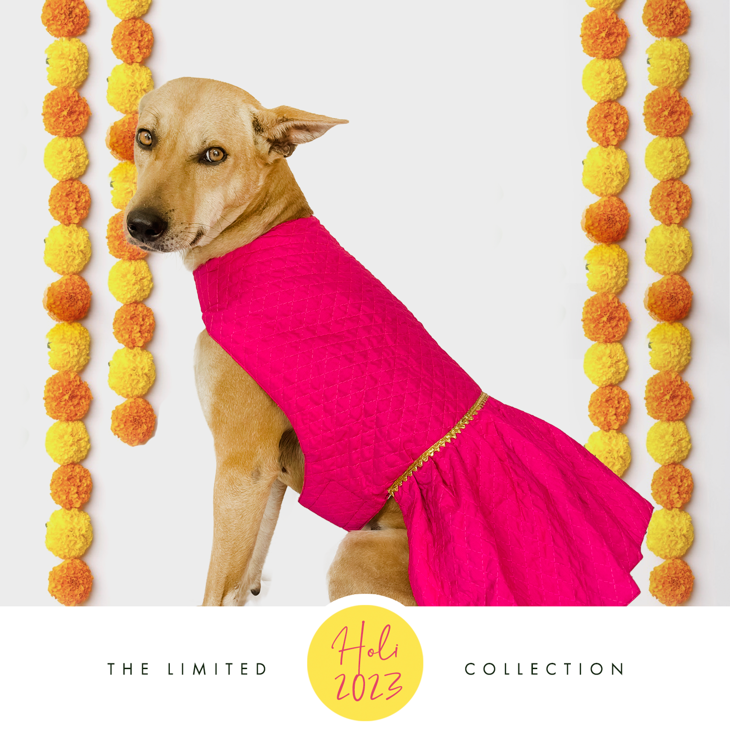 Buy Wedding Festive Dog Dress Pink by That Dog In Tuxedo