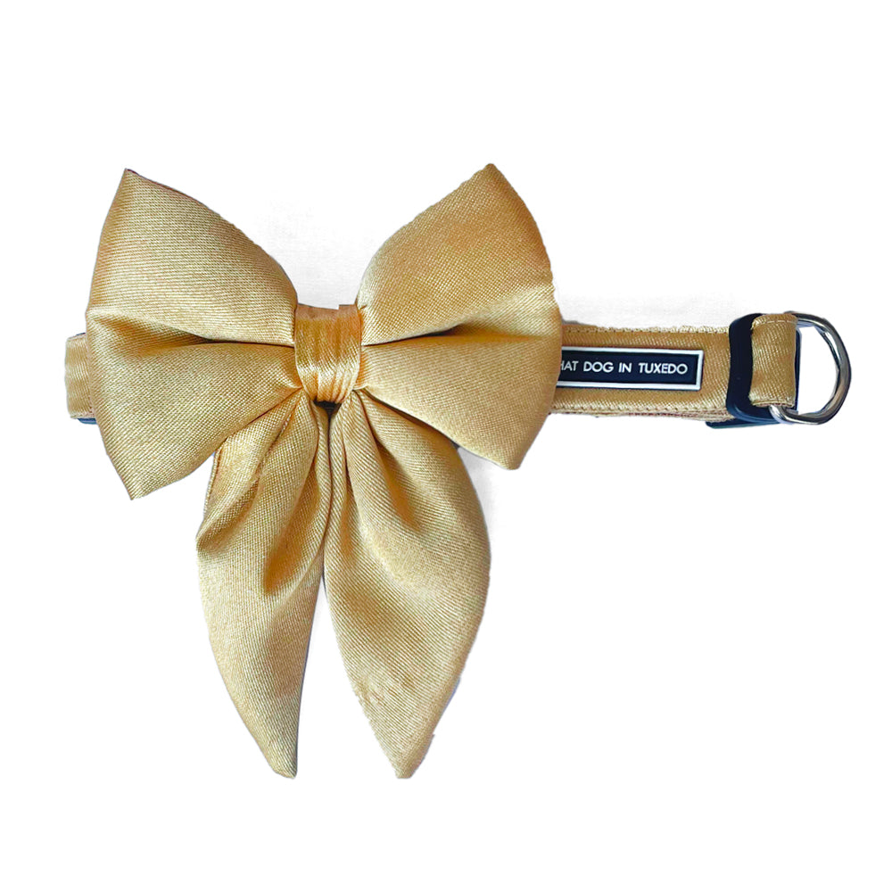 Gold Sailor Bow Tie with Collar That Dog In Tuxedo