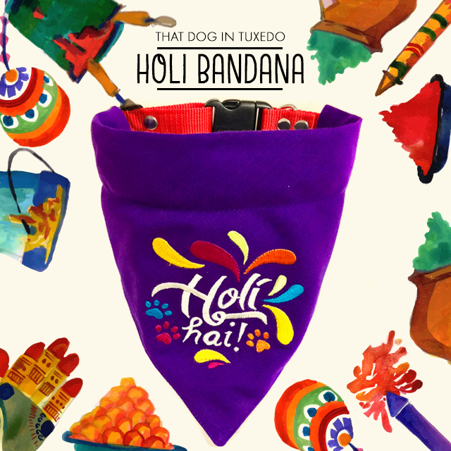 Holi Dog Bandana - Festive Collection thatdogintuxedo