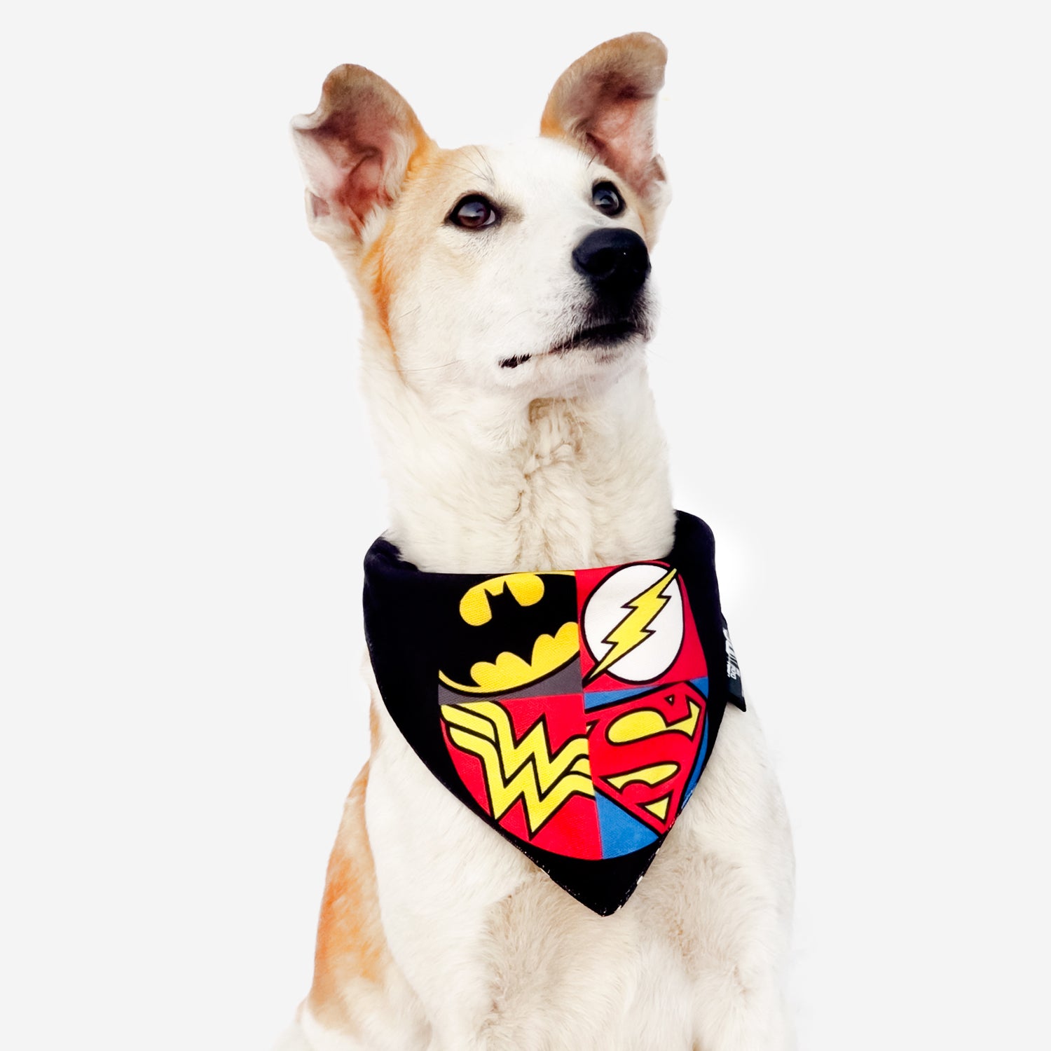 TDIT X©DC Justice League Dog Reversible Bandana That Dog In Tuxedo
