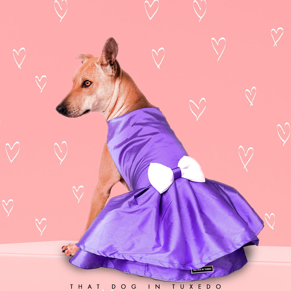 Evening Party Dog Dress/Gown - Mauve That Dog In Tuxedo