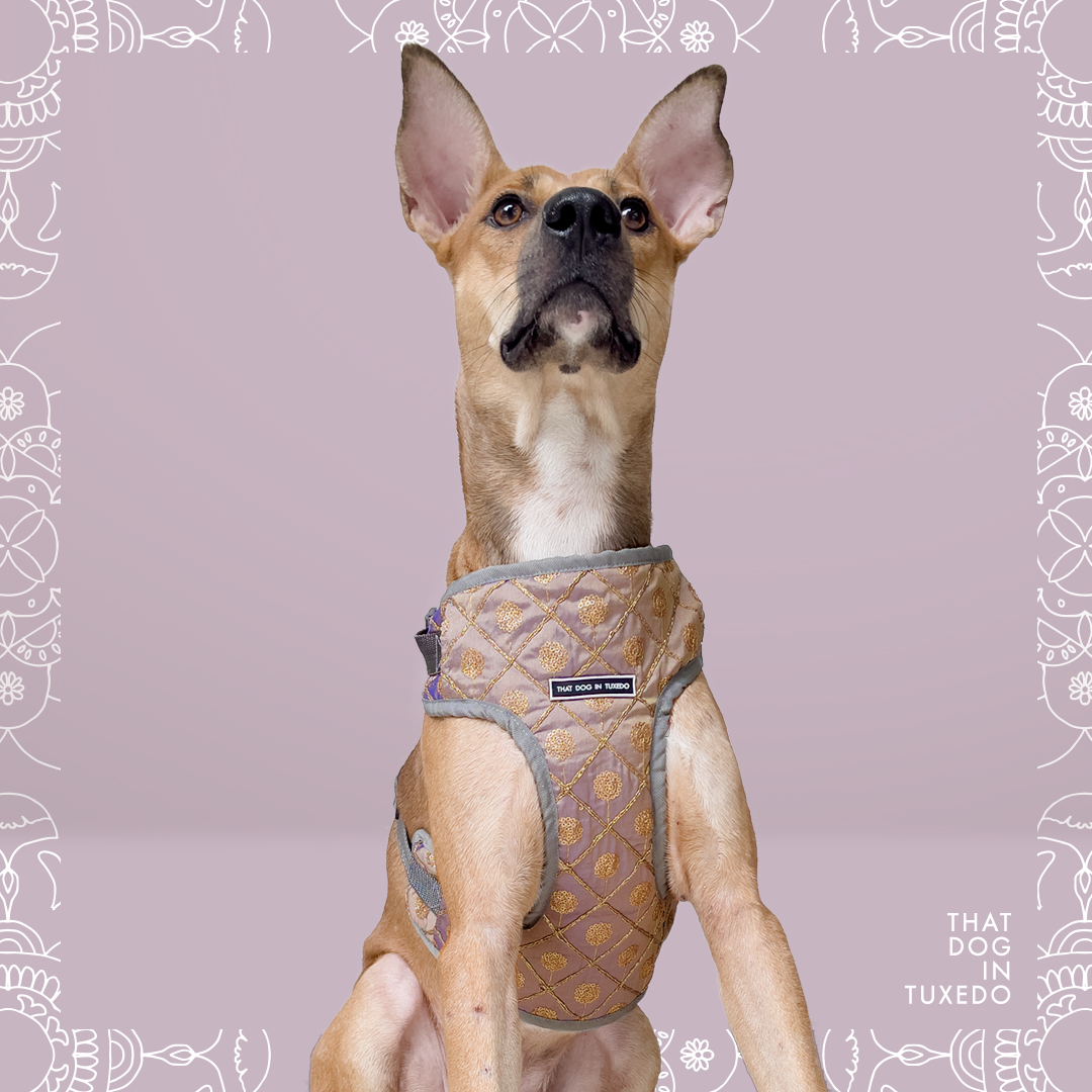 Utpala - Embellished Festive Dog Mesh Harness | Padmakshya Collection thatdogintuxedo