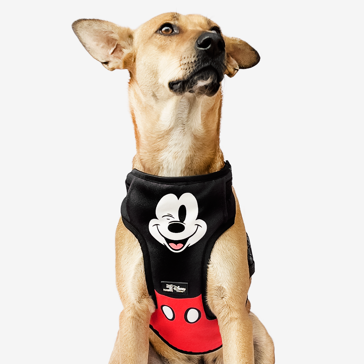 Mickey mouse dog deals clothes