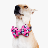 Minnie  Dog Bow Tie Collar