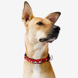 Minnie Dog Collar