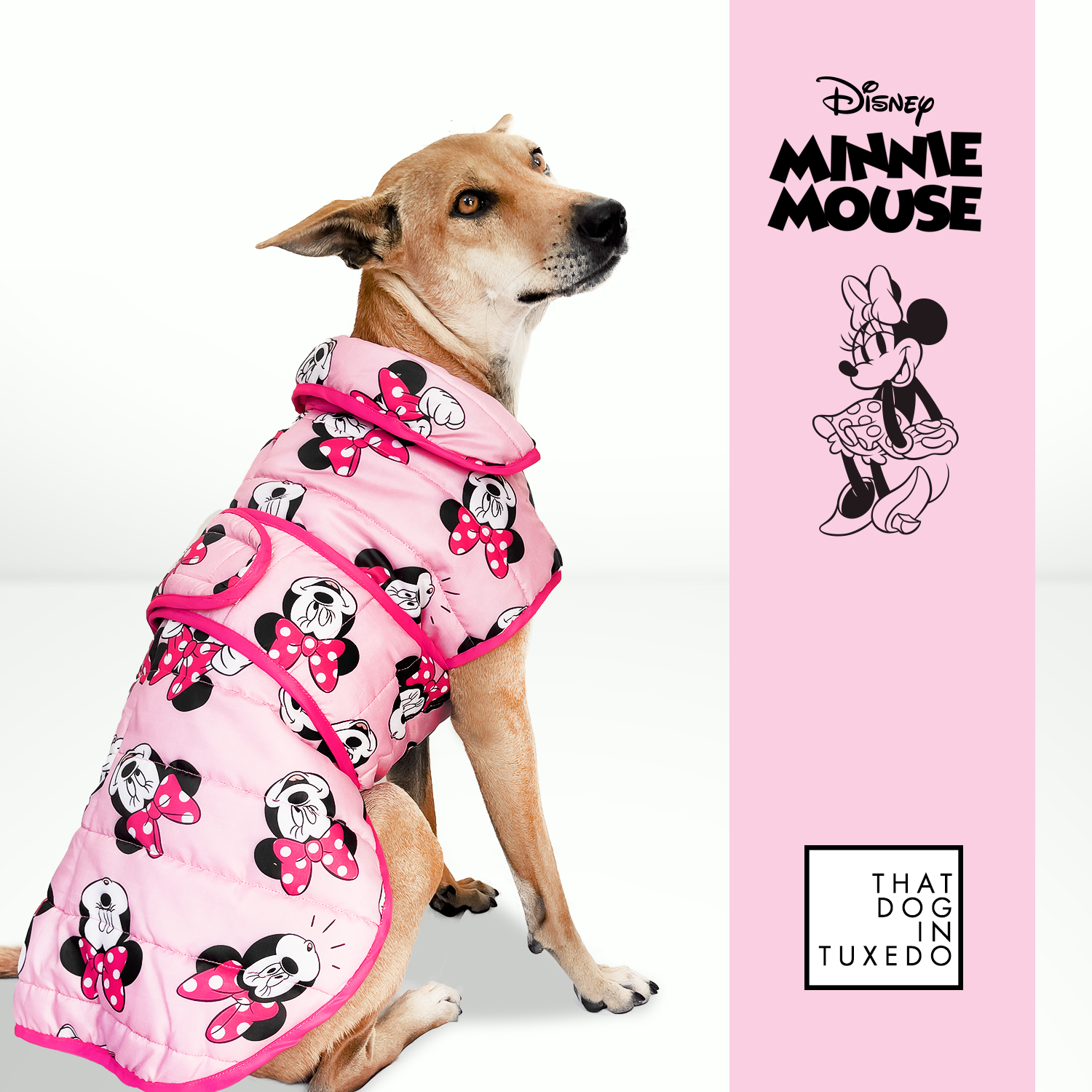 Disney dog shop jacket