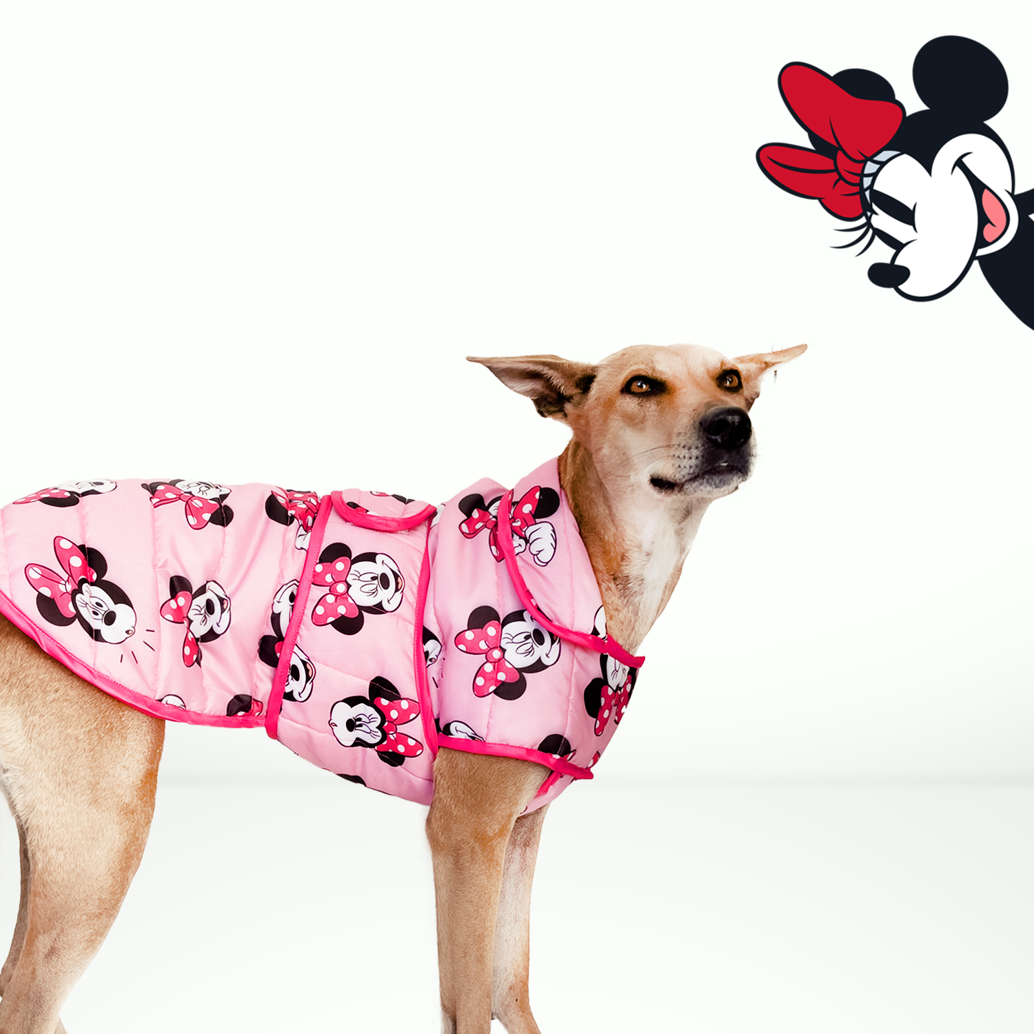 Minnie mouse dog shop sweater