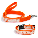Dog Lace Collar and Leash Set - Orange