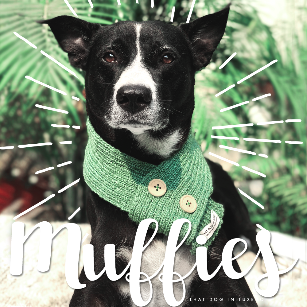 Dog Winter Muffies - Olive Green - Woollen Mufflers-Scarf thatdogintuxedo